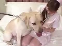 Asian nurse acquires her vagina filled by her sexually excited dog
